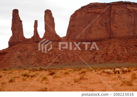 Desolate Monument Valley Arizona USA Navajo Nation with Sheep 100223016