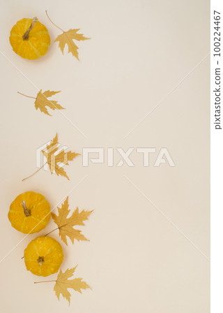 Autumn composition. Pumpkins, dried leaves on a pastel gray background. Halloween concept. Flat lay, top view, copy space Autumn composition. Pumpkins, dried leaves on a pastel gray background. Halloween concept. Flat lay, top view, copy space 100224467