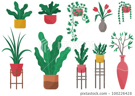 Decorative set green plant with long leaves in ceramic pot, pot with houseplant. Home interior plant 100226428