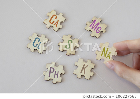 Set of puzzles with the most important macronutrients with colorful inscriptions on a beige background. Ca, Mg, Na, Cl, S, Ph, S, K. Biologically important elements. Set of puzzles with the most important macronutrients with colorful inscriptions on a beige background. Ca, Mg, Na, Cl, S, Ph, S, K. Biologically important elements. 100227565