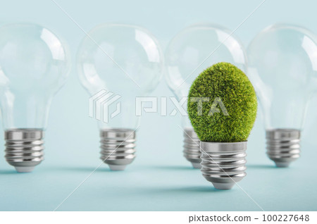 Environmental protection, renewable, sustainable energy sources. Transparent light bulbs with one different idea on green background. Plant growing in the bulb concept Environmental protection, renewable, sustainable energy sources. Transparent light bulbs with one different idea on green background. Plant growing in the bulb concept 100227648