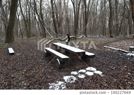 Place for a picnic table and benches in the snow, winter park in Ukraine Place for a picnic table and benches in the snow, winter park in Ukraine 100227669
