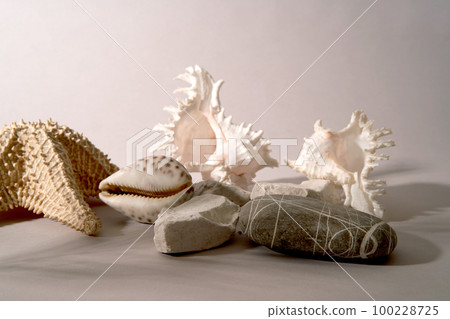 Abstract minimalistic scene with geometric shapes, shells and stones. Podium on a light background with shadows. product presentation, layout, demonstration of a cosmetic product, podium, stage Abstract minimalistic scene with geometric shapes, shells and stones. Podium on a light background with shadows. product presentation, layout, demonstration of a cosmetic product, podium, stage 100228725