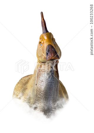 The head of  Olorotitan , dinosaur on  isolated background  . 100233268