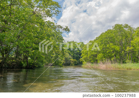 Kushiro River headwaters for canoeing in early summer 100237988