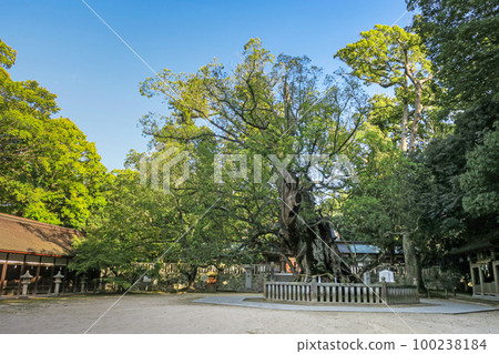 Ehime Omishima Oyamazumi Shrine Ehime Omishima Oyamazumi Shrine 100238184