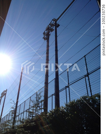 sunlight and artificial sunlight and artificial 100238736