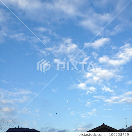天空、鳥、月亮和雲彩 天空、鳥、月亮和雲彩 100238739