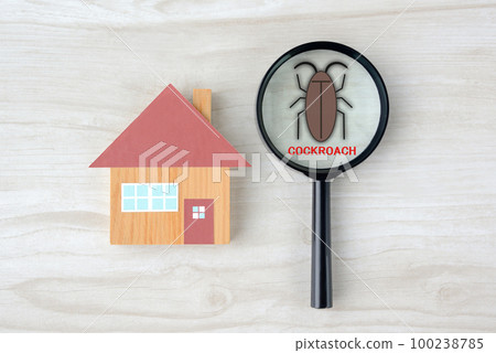 Discovery image of house and cockroach 100238785