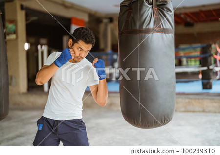boxer seriously punching the heavy bags in the ring boxer seriously punching the heavy bags in the ring 100239310