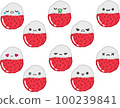 Cute Emotion Expression Lychee Fruit 100239841