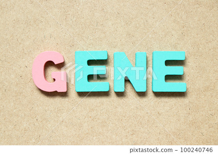 Color alphabet letter in word gene on wood background Color alphabet letter in word gene on wood background 100240746