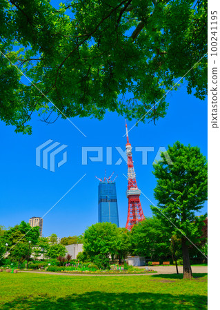 [東京]5月：藍天清爽的黃金周與家人一起遊覽東京塔 100241195