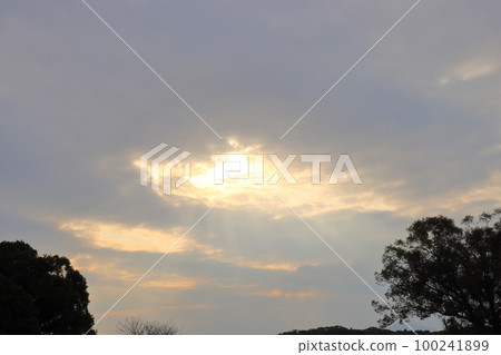 Twilight sky sunset tree Twilight sky sunset tree 100241899