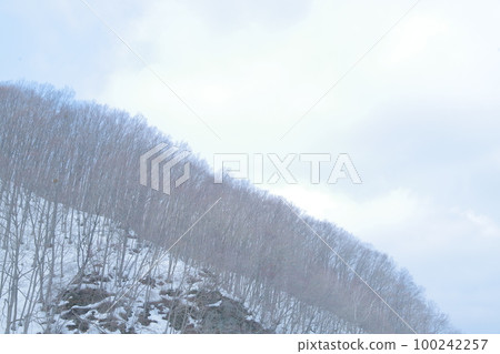 冬季風光 100242257