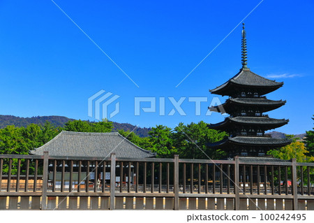 [奈良縣]晴天的興福寺（東金殿和五層塔） 100242495