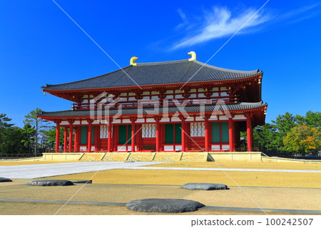 [Nara Prefecture] Kofuku-ji Temple (Chukondo) in sunny weather 100242507