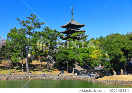 [奈良縣]晴天的興福寺（五層寶塔和猿澤池） 100242514