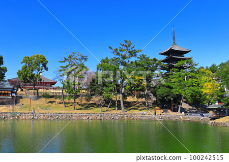 [奈良縣]晴天的興福寺（五層寶塔和中近堂） 100242515