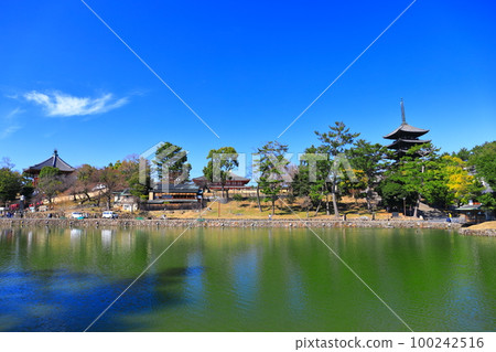 [奈良縣]晴天的興福寺（五層寶塔、中近堂、七園堂） 100242516