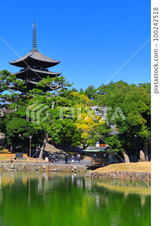 [奈良縣]晴天的興福寺（五層寶塔和猿澤池） 100242518