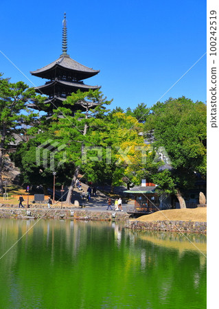 [奈良縣]晴天的興福寺（五層寶塔和猿澤池） 100242519