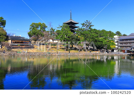 [Nara Prefecture] Kofuku-ji Temple in sunny weather (five-storied pagoda and Sarusawa Pond) 100242520