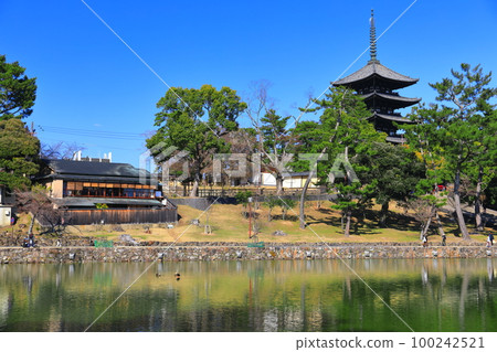 [奈良縣]晴天的興福寺（五層寶塔和猿澤池） 100242521
