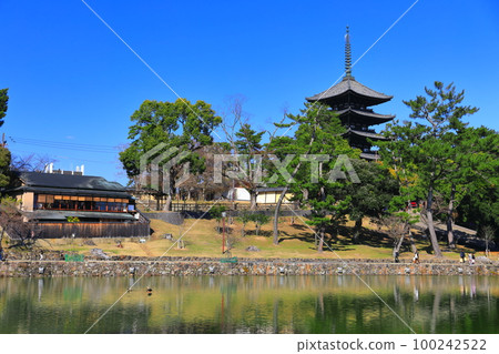[奈良縣]晴天的興福寺（五層寶塔和猿澤池） 100242522