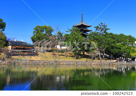 [奈良縣]晴天的興福寺（五層寶塔和猿澤池） 100242523