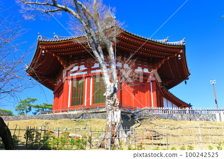 [Nara Prefecture] Kofuku-ji Temple (South End Hall) in sunny weather 100242525