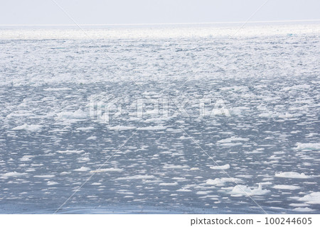 從知床海岸看到的流冰 100244605