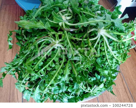 薺菜、盆盆草、可食用的野生植物 薺菜、盆盆草、可食用的野生植物 100244728