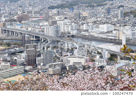 櫻花和廣島市 100247470