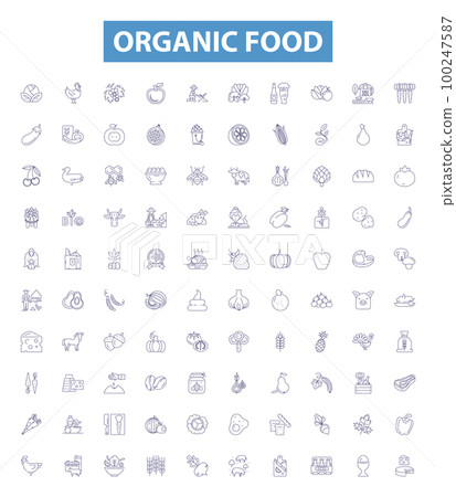 Organic food line icons, signs set. Organic, Food, Natural, Eco, Health, Nutritious, Fresh, Pure, Clean outline vector illustrations. 100247587