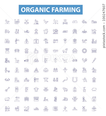 Organic farming line icons, signs set. Organic, Farming, Agriculture, Crops, Soil, Pesticides, Herbicides, Fertilizers,Compost outline vector illustrations. Organic farming line icons, signs set. Organic, Farming, Agriculture, Crops, Soil, Pesticides, Herbicides, Fertilizers,Compost outline vector illustrations. 100247607