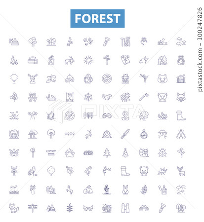 Forest line icons, signs set. Woodland, Trees, Jungle, Grove, Bush, Greenery, Glade, Canopy, Shrubbery outline vector illustrations. 100247826