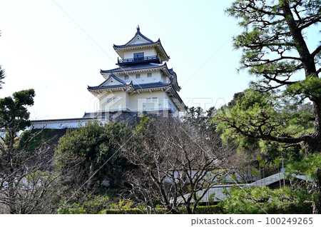 Kakegawa城堡城堡塔 100249265