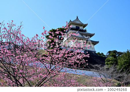 Kakegawa castle castle tower 100249268