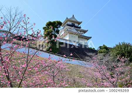 Kakegawa castle castle tower 100249269