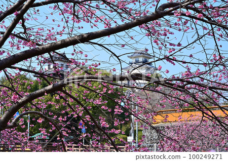 Kakegawa城堡城堡塔 100249271