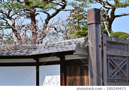 掛川城北之丸 100249415
