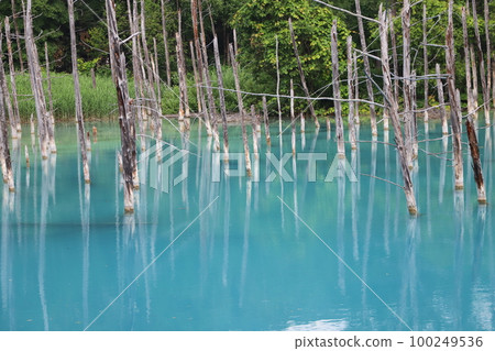 Blue pond 100249536