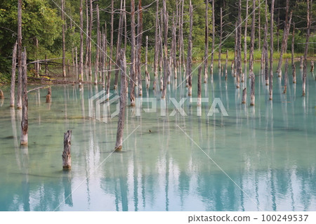 Blue pond 100249537