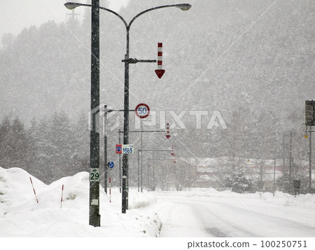 保羅用箭羽 100250751