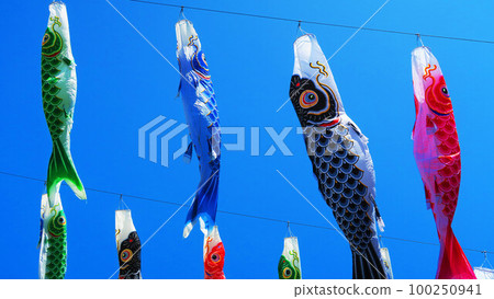 川口柴川鯉魚旗節的鯉魚旗 川口柴川鯉魚旗節的鯉魚旗 100250941