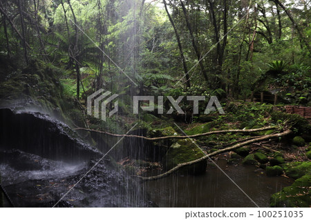 Waterfall on the reverse side Waterfall on the reverse side 100251035