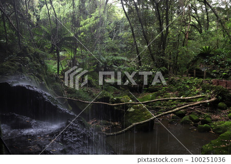 Waterfall on the reverse side 100251036