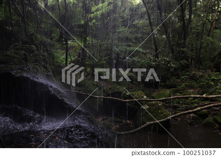 Waterfall on the reverse side Waterfall on the reverse side 100251037