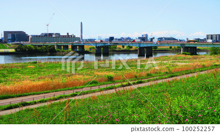 鹿濱大橋(東京都足立區)和從荒川河岸看到的荒川 鹿濱大橋(東京都足立區)和從荒川河岸看到的荒川 100252257